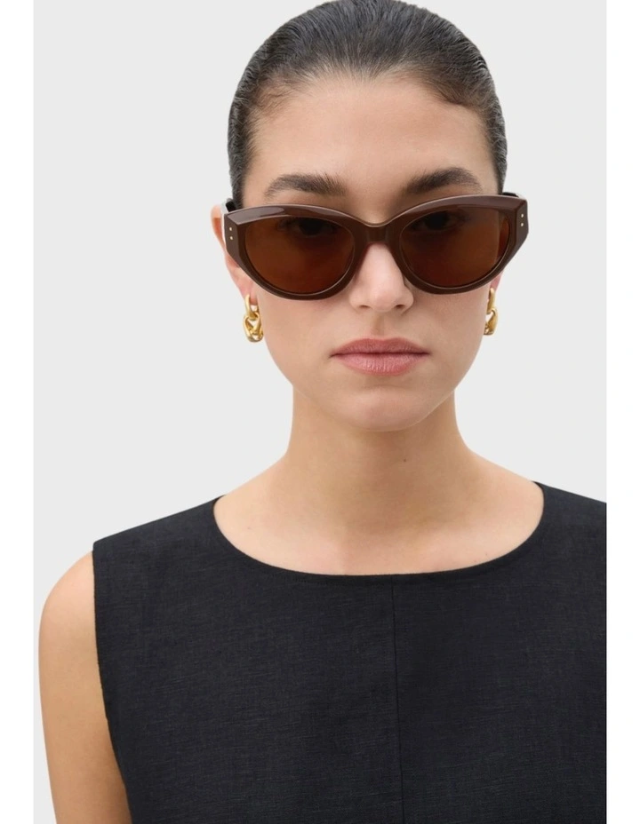 Whitely Sunglasses in Chocolate image 4