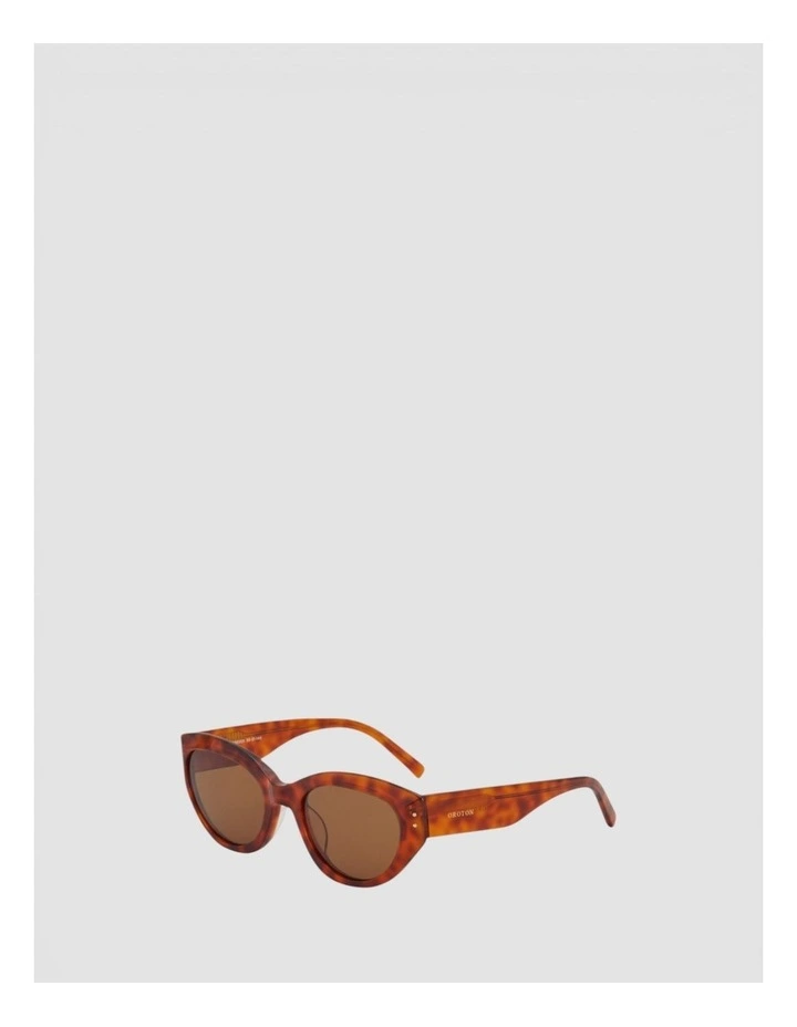 Whitely Sunglasses in Vintage Tort image 2