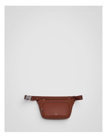 Saddle Brown colour