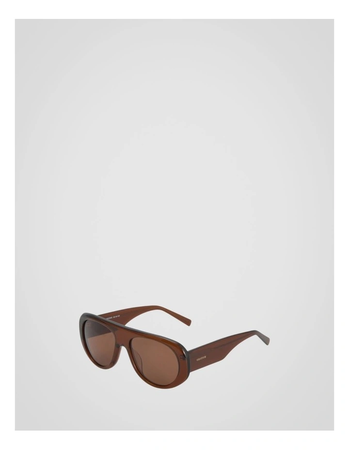 Charlie Sunglasses in Chocolate image 3