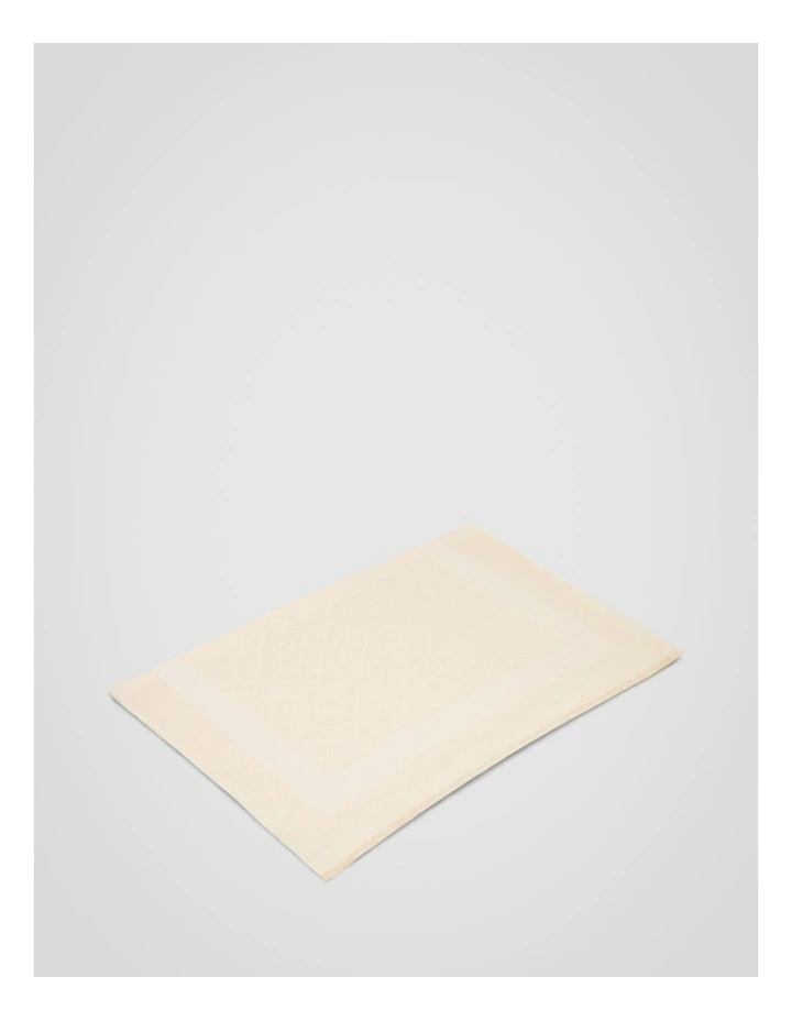 Hannah Light Weight 2 Tone Scarf in Cream image 3