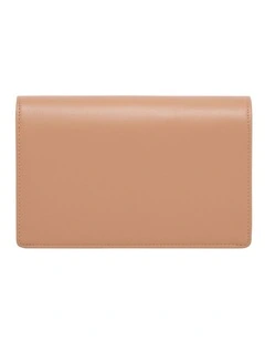 Chain Wallet Crossbody Bag in Nude