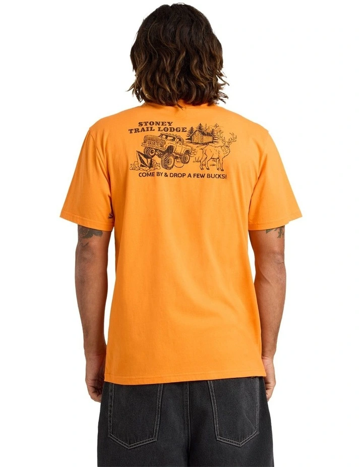 Stoney Lodge T-Shirt In Orange image 2
