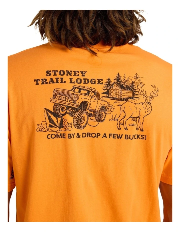 Stoney Lodge T-Shirt In Orange image 4