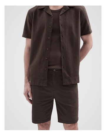 Mocha colour