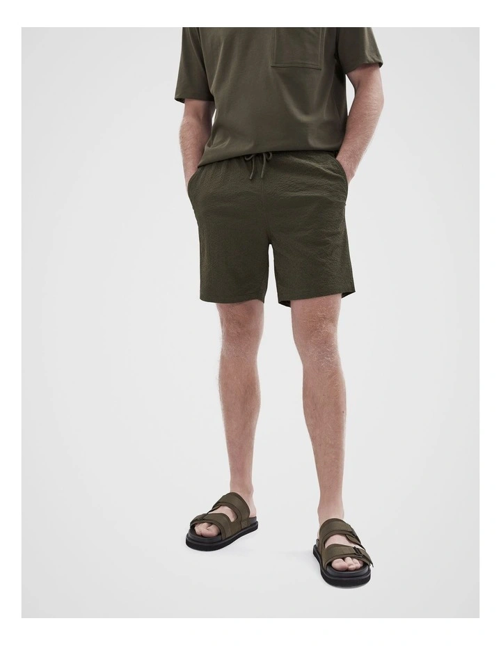 Seersucker Swim Short in Green image 1