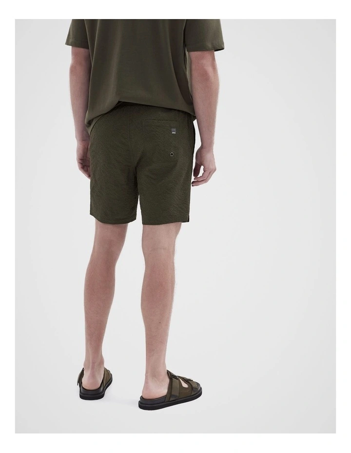 Seersucker Swim Short in Green image 2