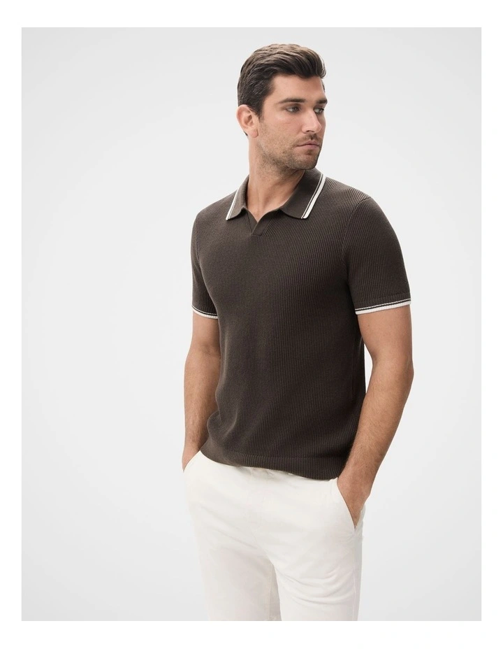 Tipped Knit Polo in Brown image 1