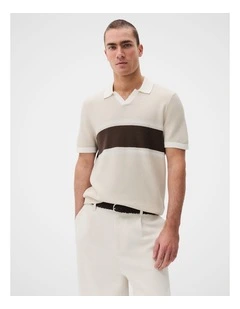 Apollo Stripe Knit Polo