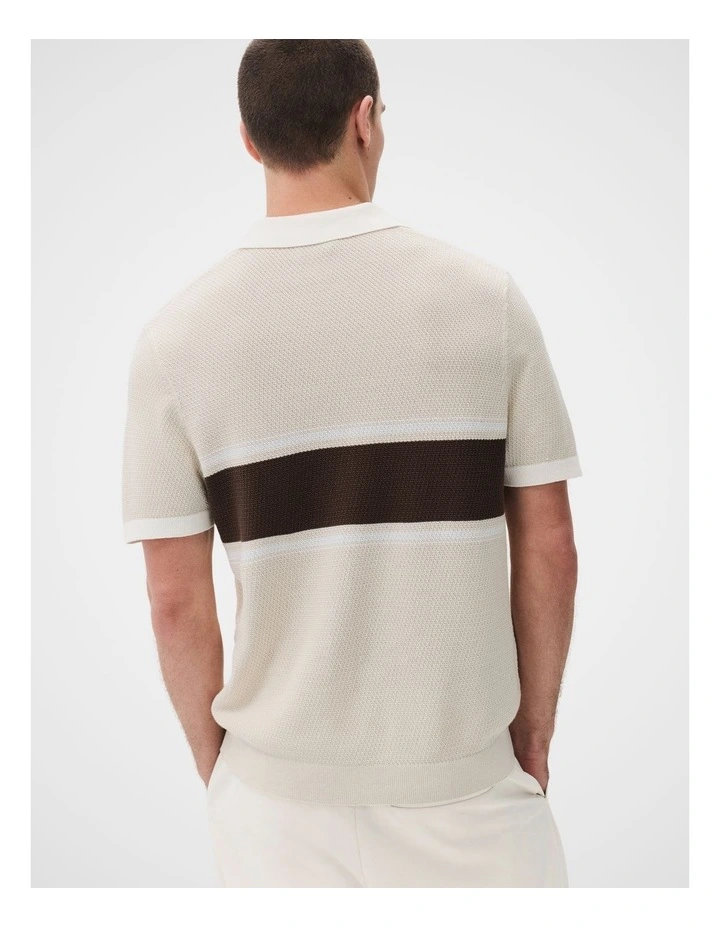 Apollo Stripe Knit Polo image 2