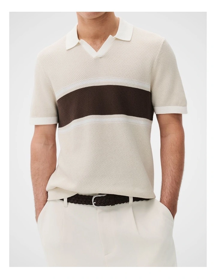 Apollo Stripe Knit Polo image 4