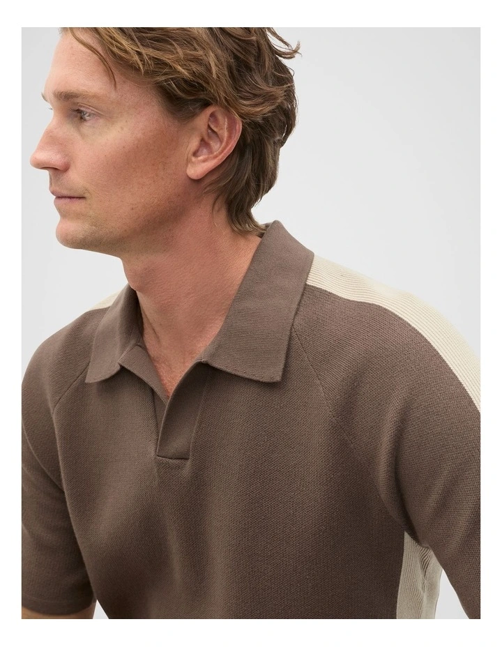 Colourblock Trophy Polo in Cocoa image 4