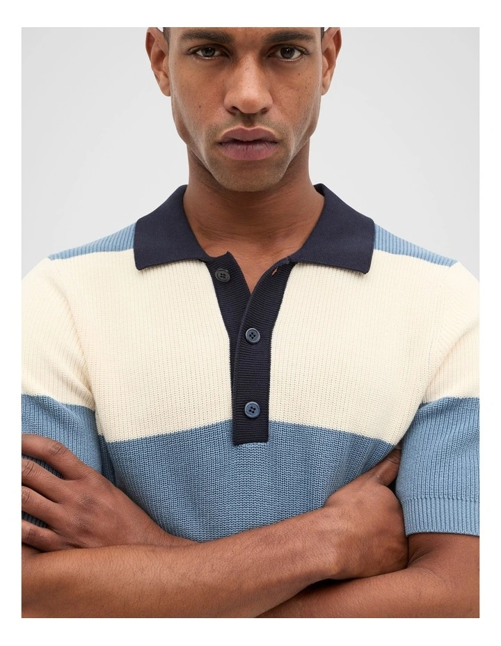 Block Stripe Knit Polo in Sailor image 3
