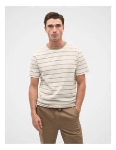 Crew Stripe Tee in Dark Stone