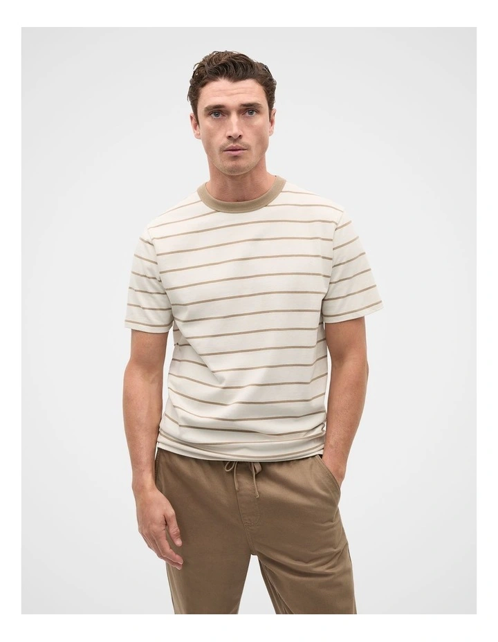Crew Stripe Tee in Dark Stone image 1