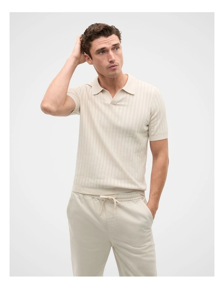 Stripe Cotton Knit Polo in Pebble image 1