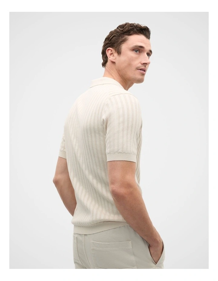 Stripe Cotton Knit Polo in Pebble image 2