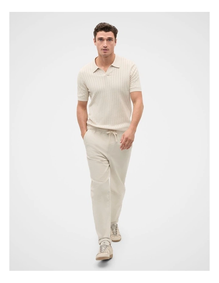 Stripe Cotton Knit Polo in Pebble image 4