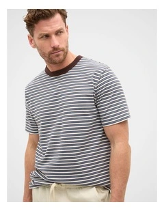 Crew Stripe Tee in Multi Choc Stripe