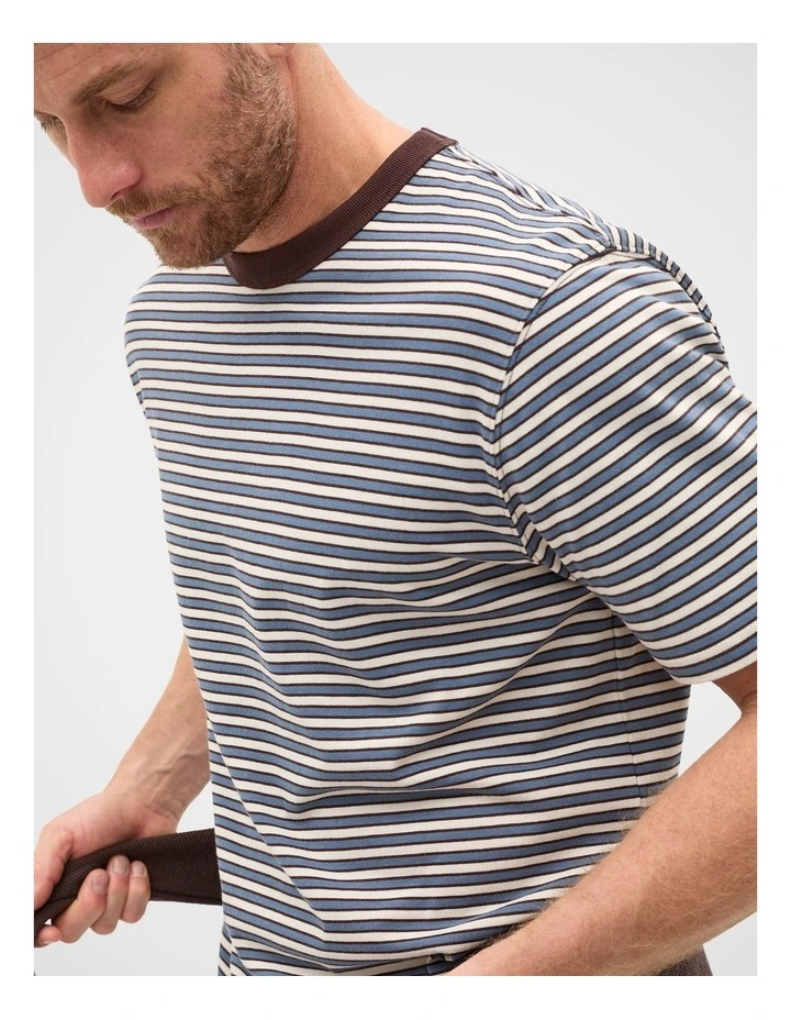 Crew Stripe Tee in Multi Choc Stripe image 4