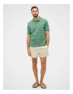 Stripe Pique Polo in Seagrass Stripe