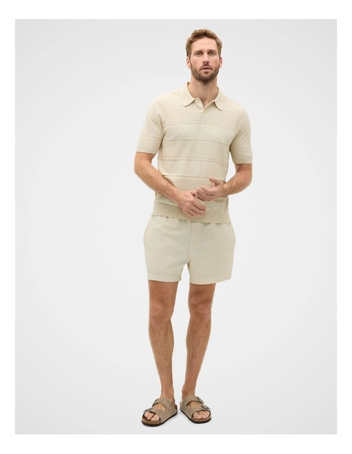 Self Stripe Knit Polo in Oyster image 4
