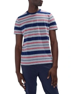 Alder Stripe Tee in Navy Stripe