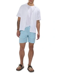 Brad Stripe Swim Short in Blue