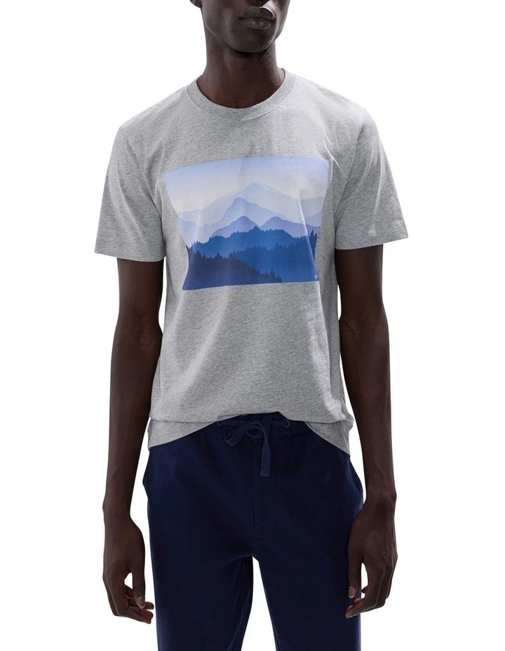 Unforgetable View Tee in Grey image 1