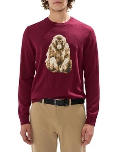 Saru Wool Blend Knit in Fig