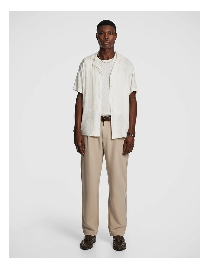 Amir Wide Chino in Natural image 6