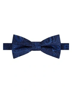 Apollo Paisley Bow Tie in Navy