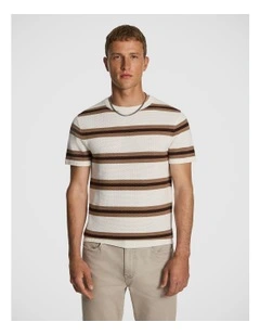 Albion Stripe Tee in Natural