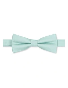 Self Stripe Bow Tie in Mint