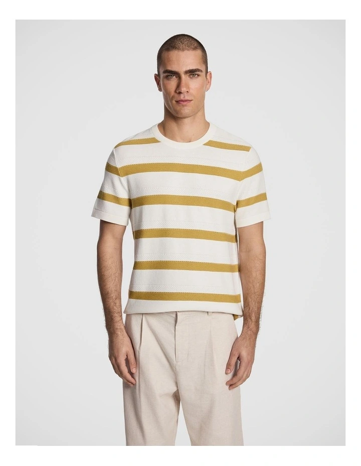 Hayes Stripe Knitted Tee in Multi image 1