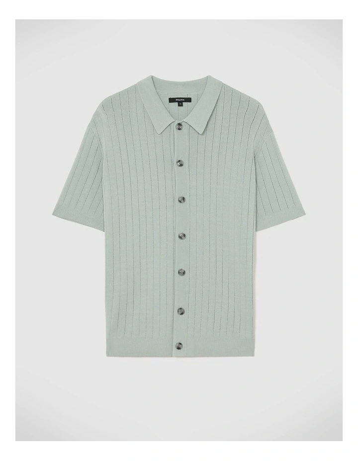 Stripe Knit Polo in Seafoam image 2
