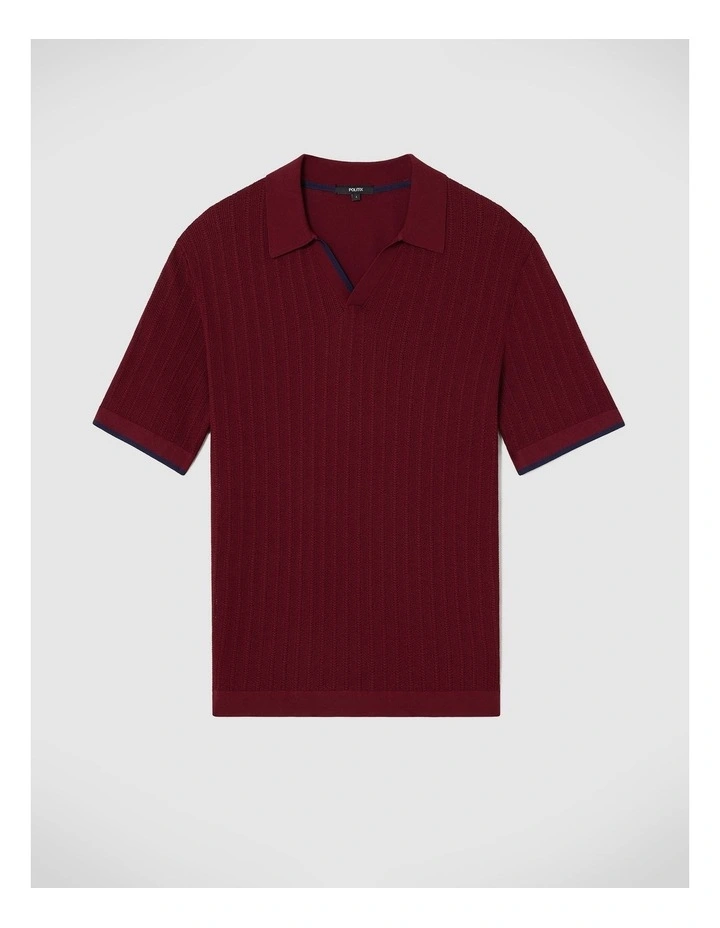Anderson Stripe Texture Knit Polo in Burgundy image 2