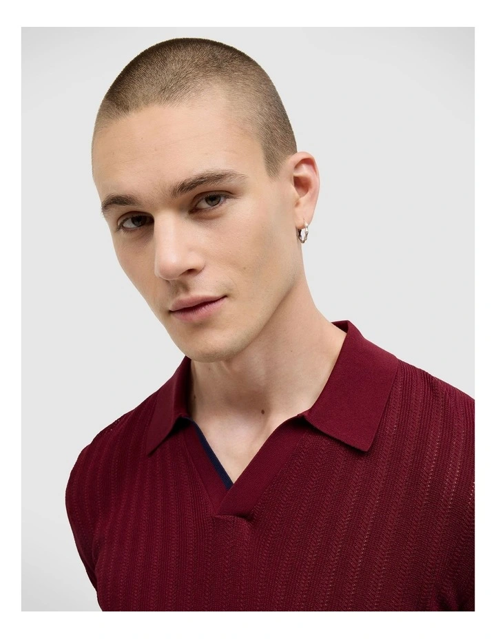 Anderson Stripe Texture Knit Polo in Burgundy image 4