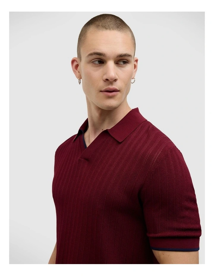 Anderson Stripe Texture Knit Polo in Burgundy image 5