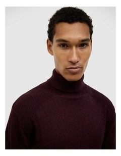Dezra Roll Neck Knit in Burgundy