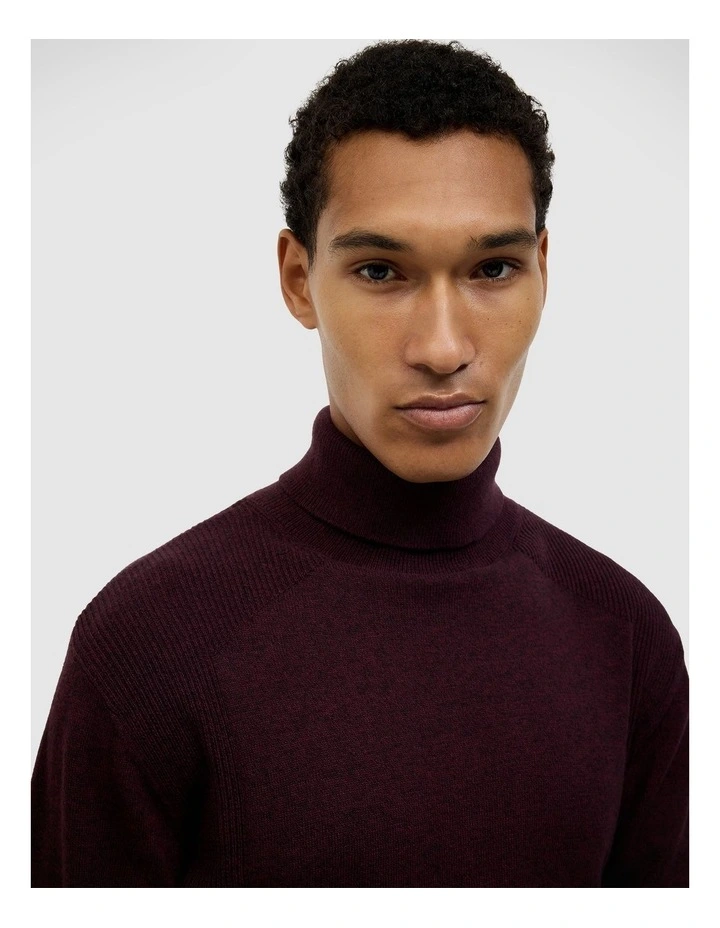 Dezra Roll Neck Knit in Burgundy image 1