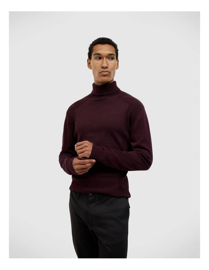 Dezra Roll Neck Knit in Burgundy image 4