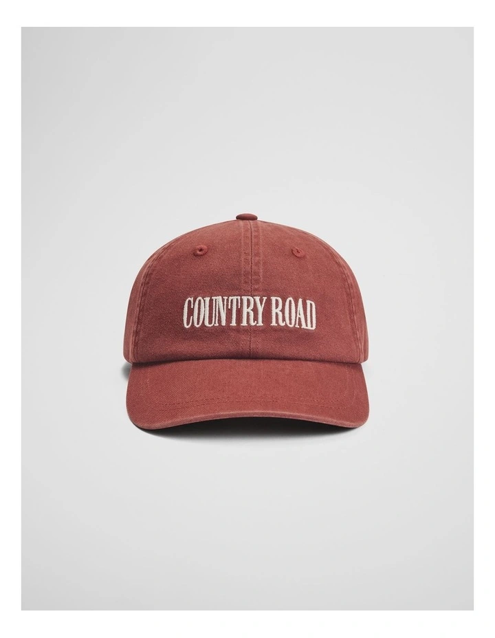 Country Road Washed Cap in Spice image 1