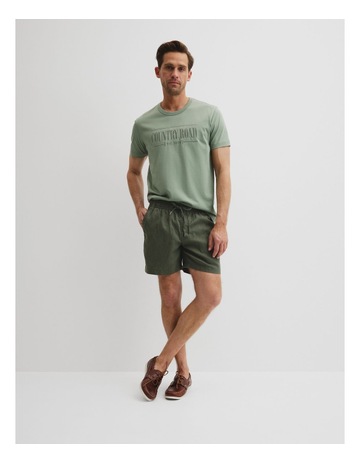 Evergreen colour