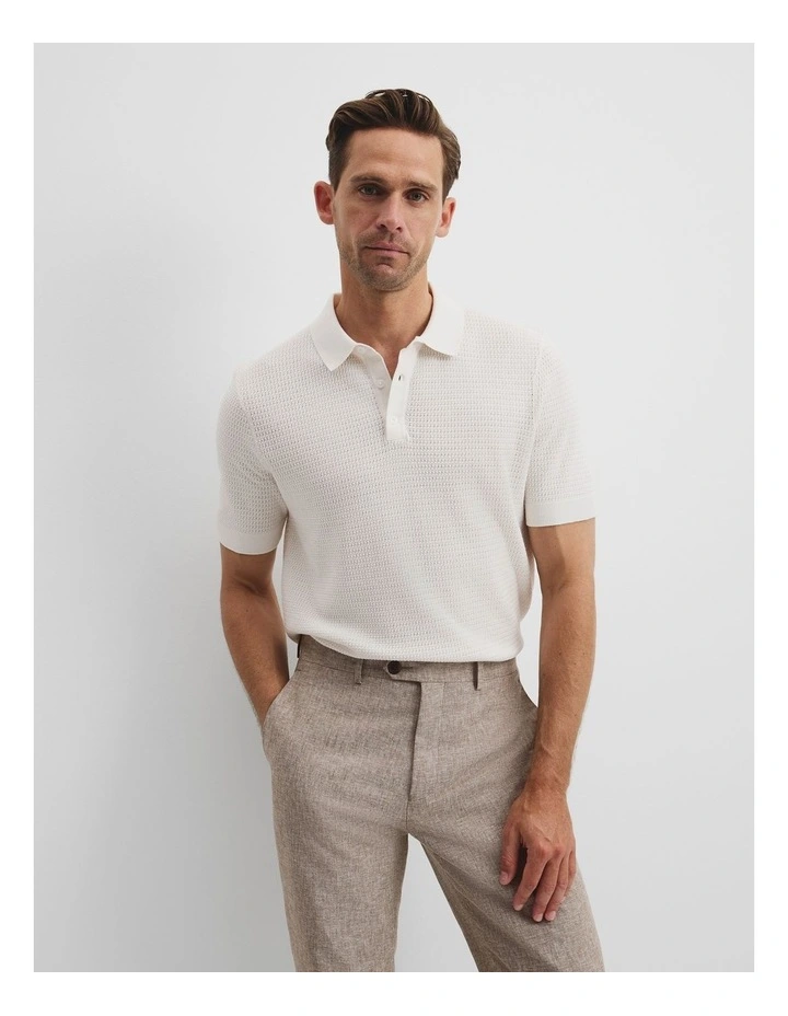Australian Cotton Silk Blend Textured Knit Polo in Flint image 1