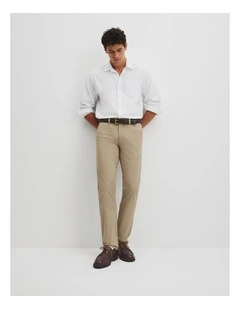 Australian Cotton Standard Fit Stretch Chino in Birch