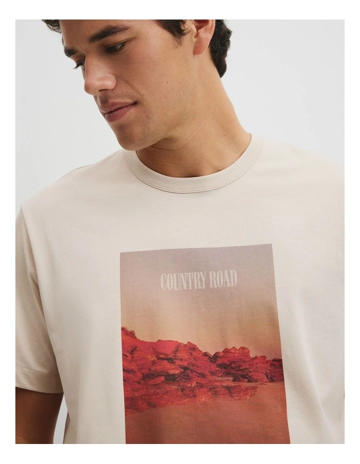 Australian Cotton Graphic T-shirt in Stone image 3