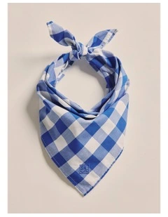 Parachilna Bandana in MID Blue