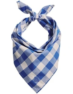 Parachilna Bandana in MID Blue