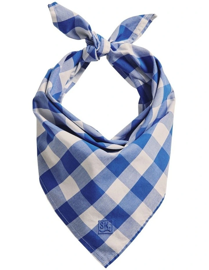 Parachilna Bandana in MID Blue image 1